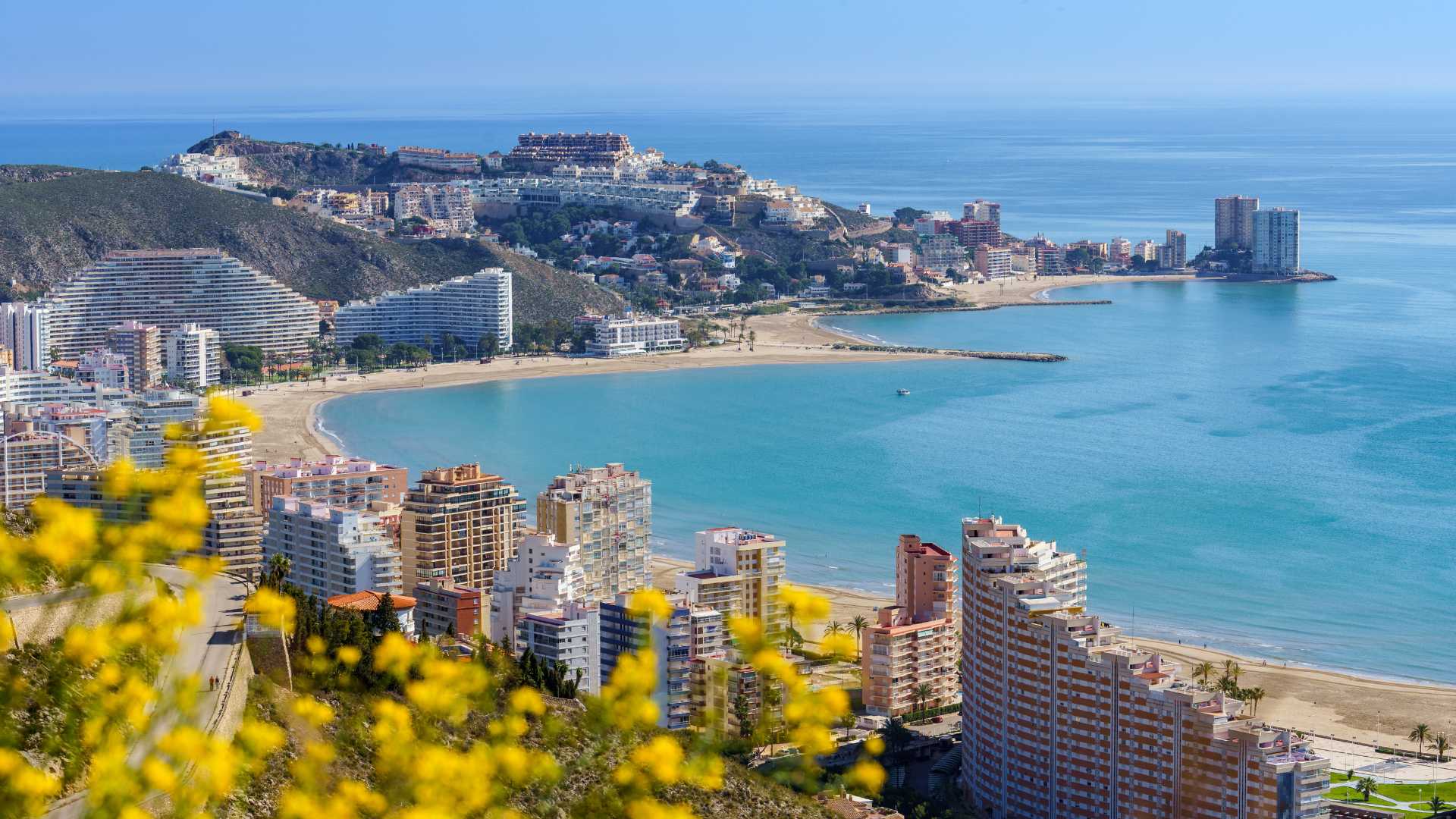 Cullera